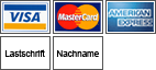 Visa Mastercard American Express